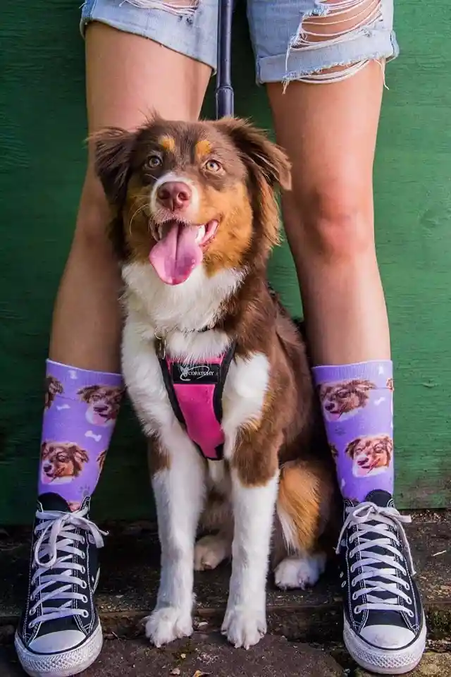 #6. Socks With Your Dog&rsquo;s Face On Them