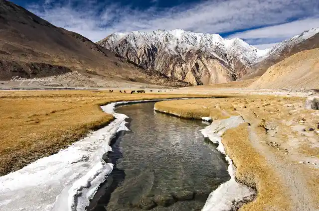 Changtang Region, Tibet