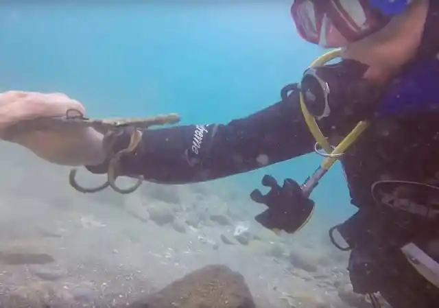 Divers Stumble Upon 1,600-Year-Old Rare Roman Artifacts