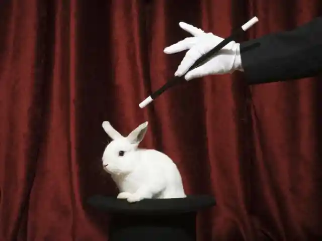#14. Pulling A Rabbit Out Of A Hat