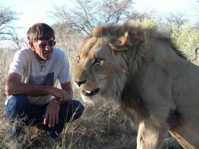 11 Years Of Friendship Shared Between A Lion And The Human That Saved Him