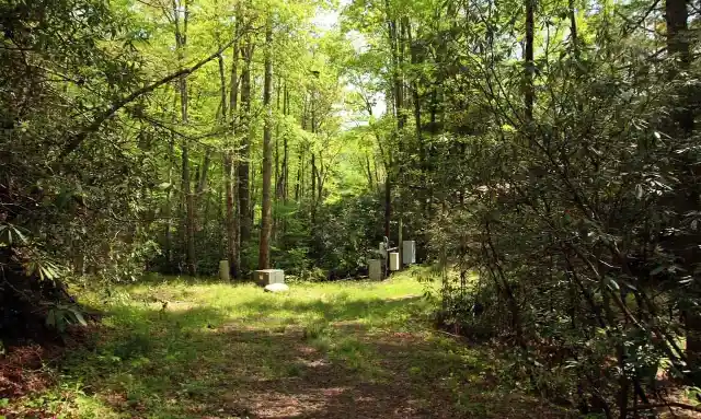 Hiking Path