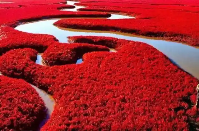 Red Beach, China