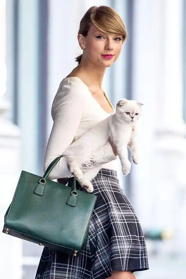 The Cutest Celebrity Cats Owned By Your Favorite Celebs!