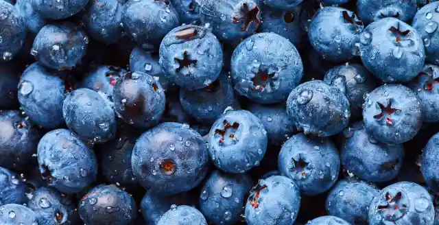 #15. Blueberries