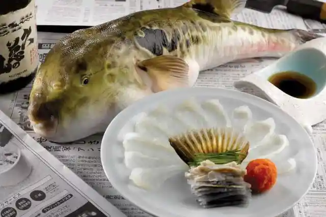 Fugu, The Dangerous Japanese Dish