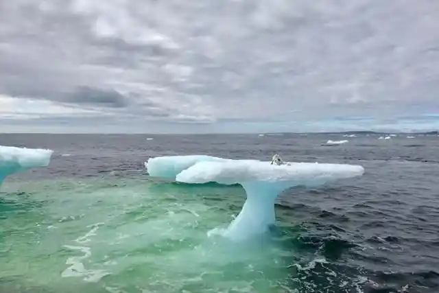 #18. Watch Out For The Iceberg