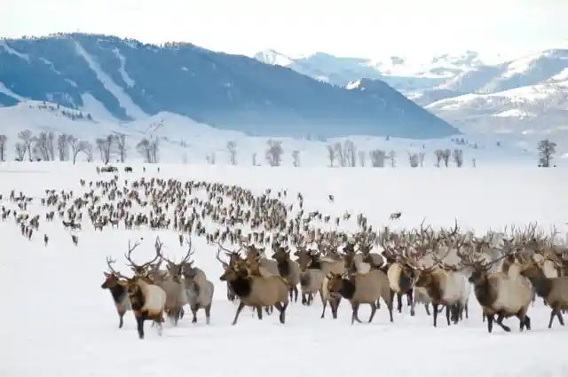 Grand Teton National Park, Wyoming