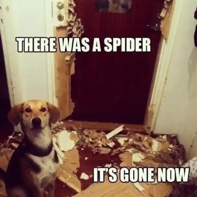 It Exploded
