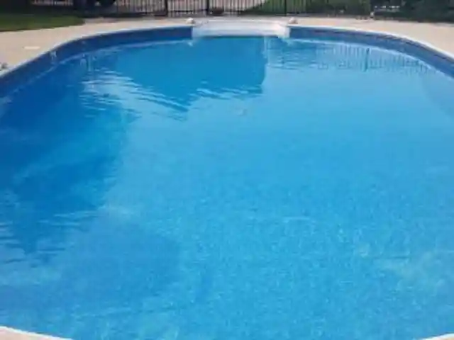 A Family of Bears Decide to have a Pool Party in Someone's Backyard