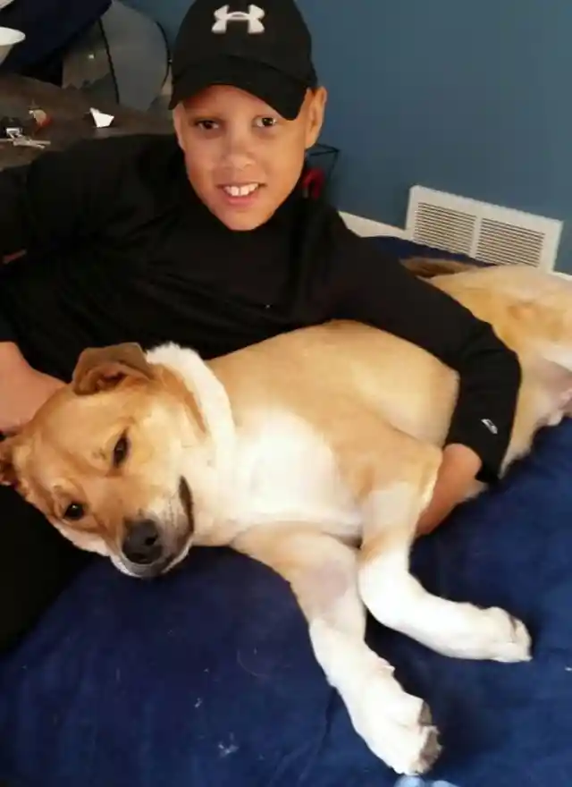 #13. Bullied Boy Saved By Rescue Dog