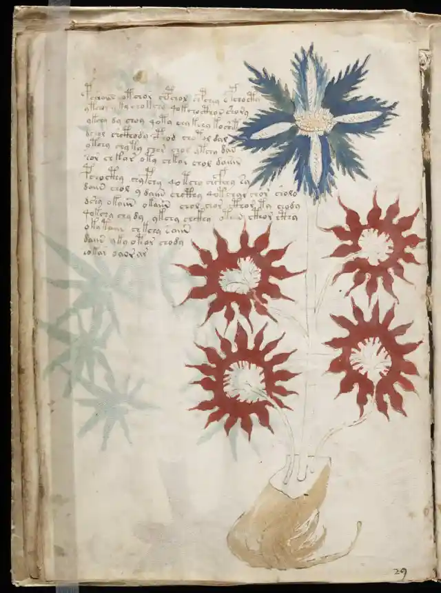 #16. Voynich Manuscript