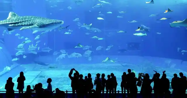 Dubai Aquarium