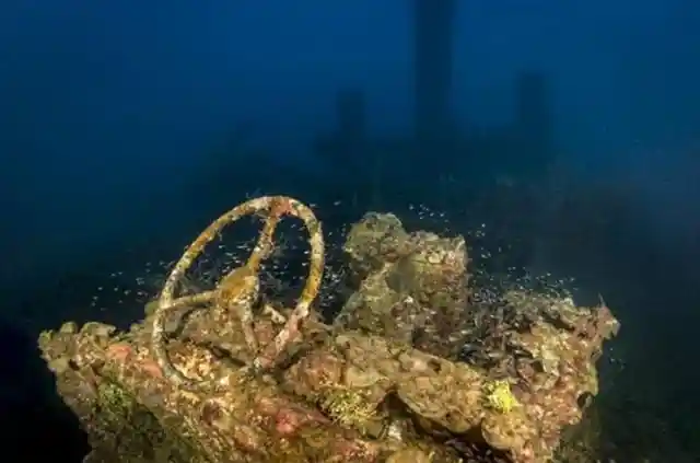 Look What Divers Discovered In The Pacific Ocean