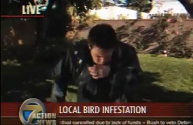 #16. Reporter Pooped By Bird