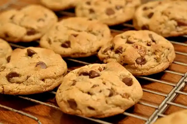#19. Chocolate Chip Cookie