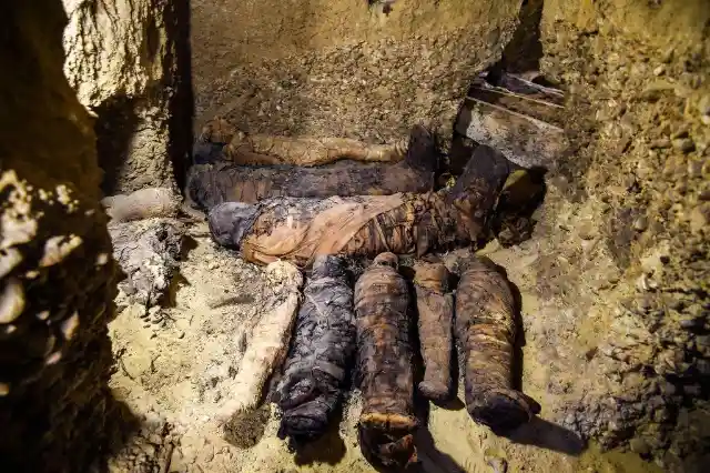 Tomb Found In Egypt: Can You Guess What Was Inside?