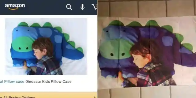 #11. Dinosaur Pillow Fail