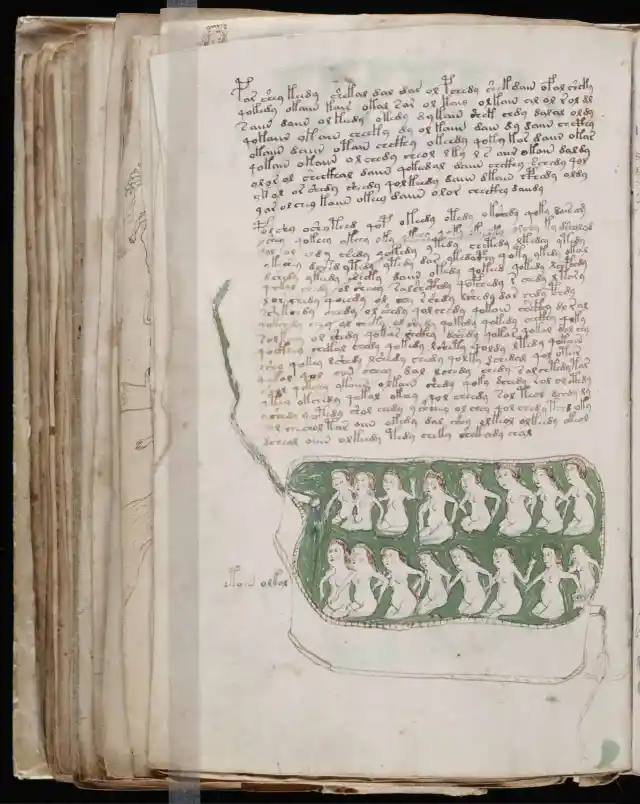 #12. Voynich Manuscript