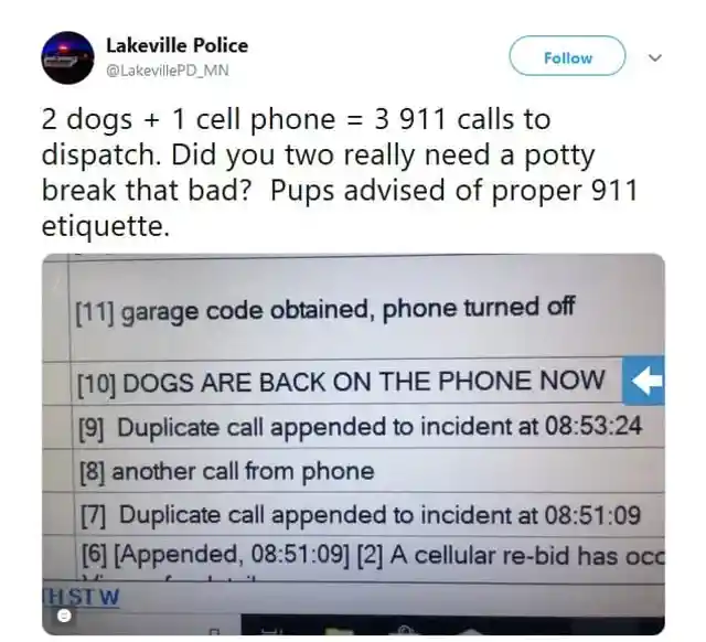 Two Dogs And A Cell Phone