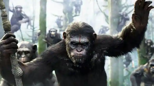 #10. Dawn Of The Planet Of The Apes