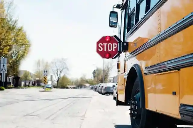 Traffic And School Buses