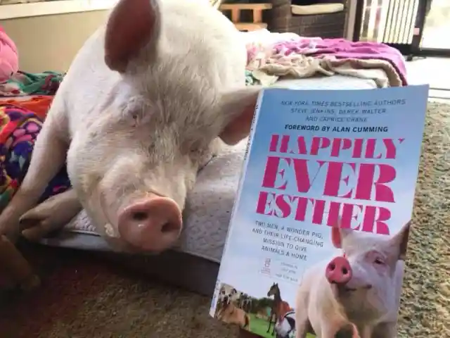#9. Happily Ever Esther
