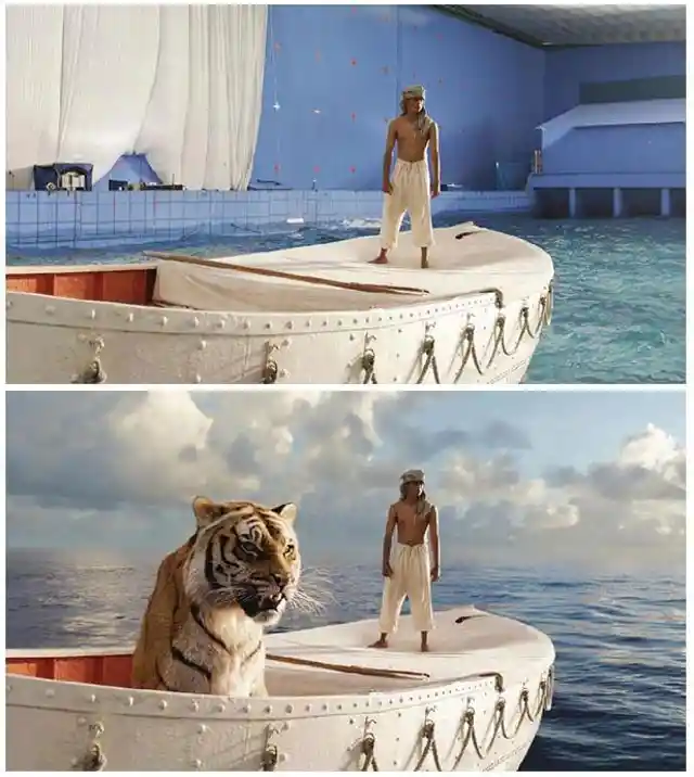 Life Of Pi