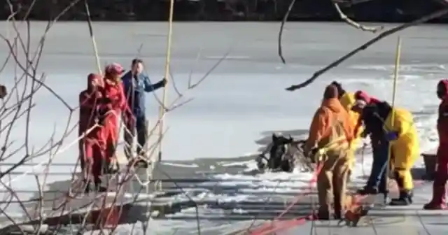 Farmers See Two Horses Trapped In Ice And Do The Unthinkable