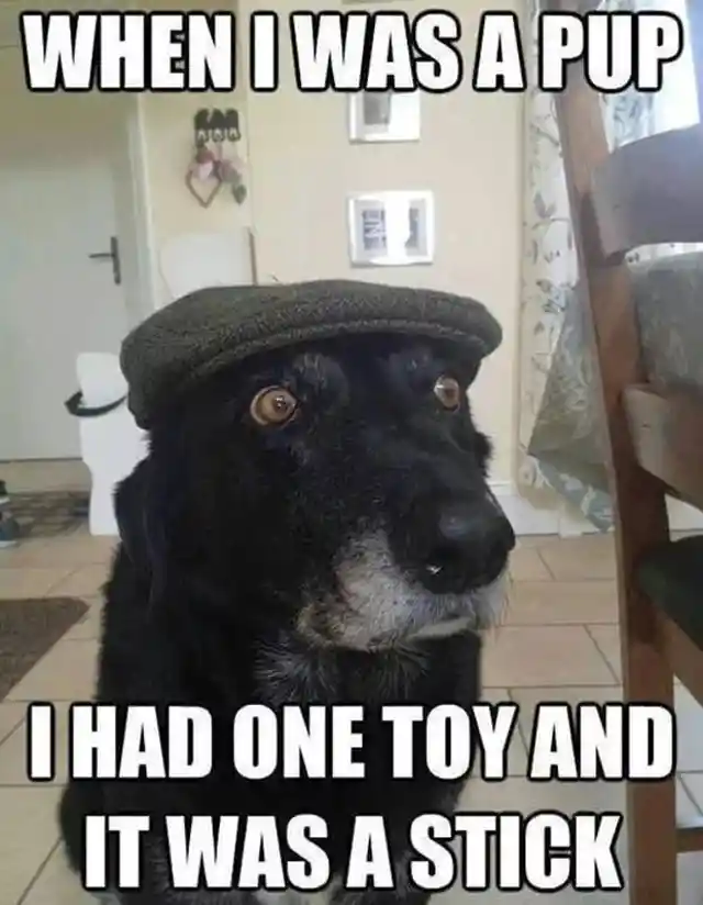 Let Me Tell You My Story