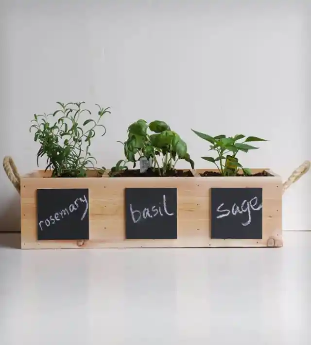 #6. Grow Your Own Herbs