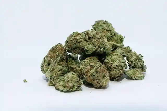 #5. Marijuana Worth 175,000 USD