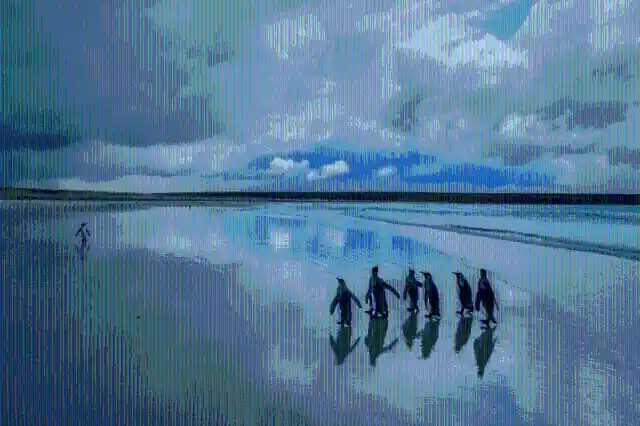 #10. Kings Of The Sand