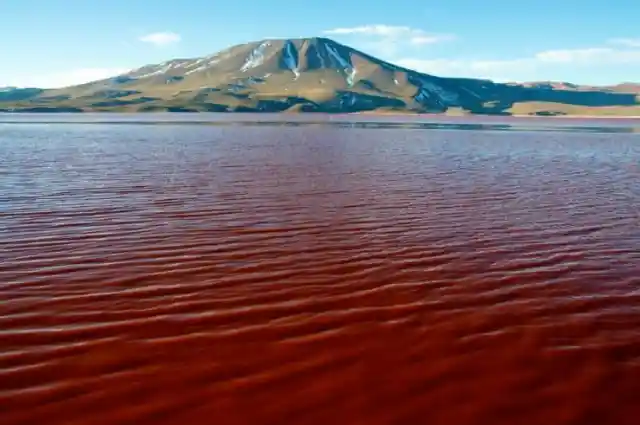 Laguna Colorada, Bolivia