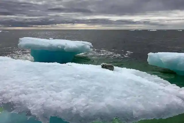 You Won't Believe What These Fishermen Found On Top Of An Iceberg