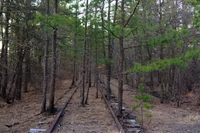 #9. The Pine Barrens