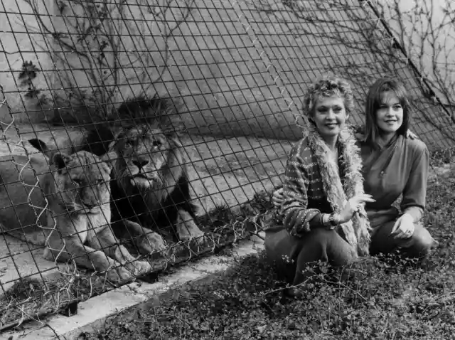 #1. Tippi Hedren and Melanie Griffith