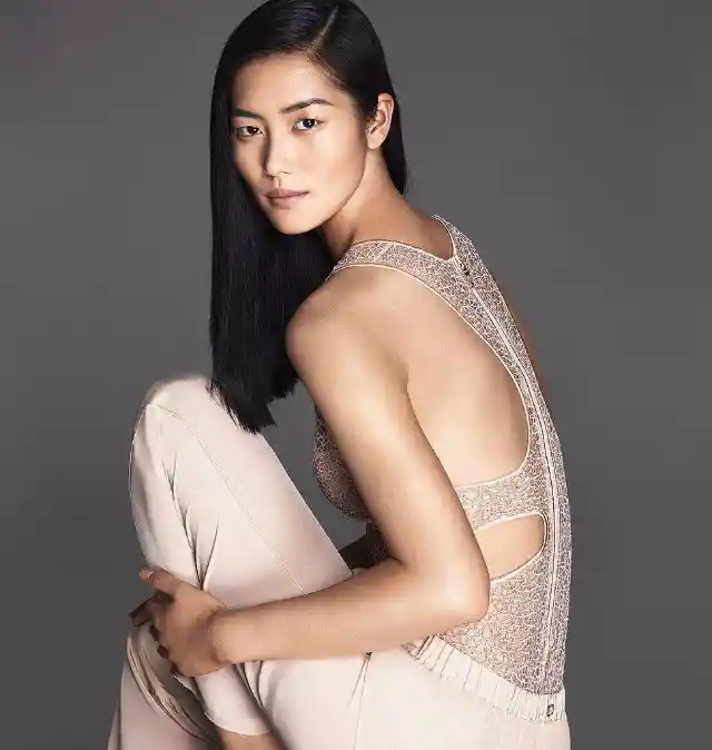 Liu Wen