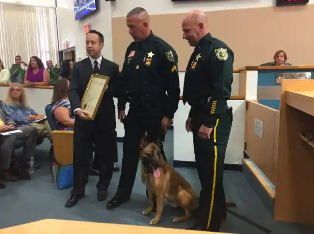 Heroic Police Dog Takes A Bullet For His Partner & Saves His Life