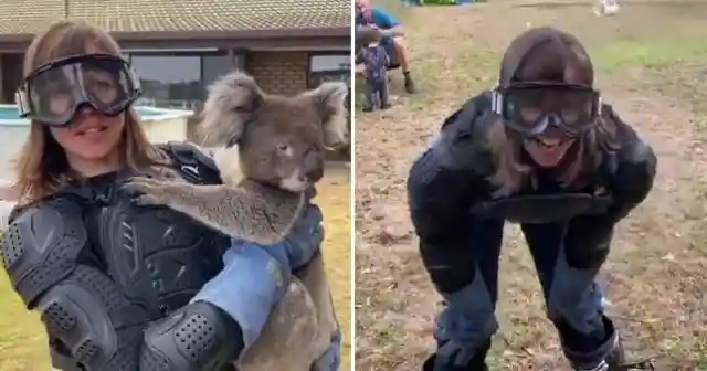 #1. Woman Protects Herself From "Deadly" Koala