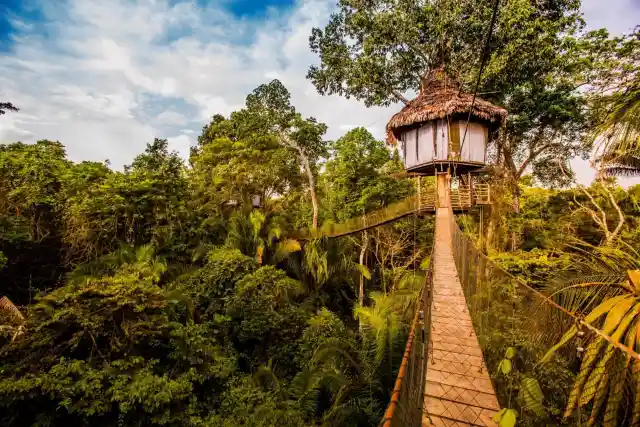 Treehouse Lodge Resort