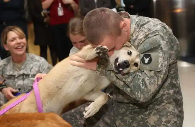 War Veteran Adopts Dog, Now They’re Best Friends