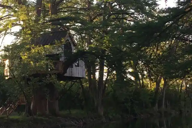 Treehouse Utopia