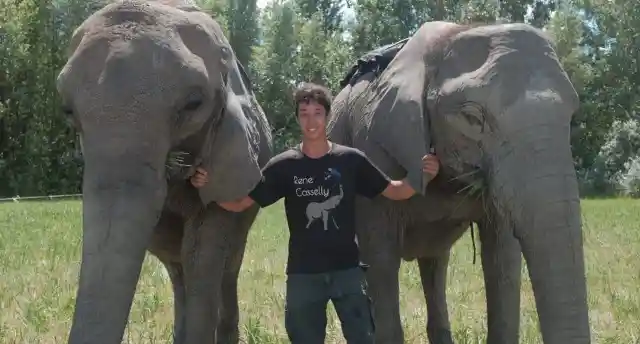 21-Year-Old Acrobat Develops Unusual Connection With His Elephant Friends