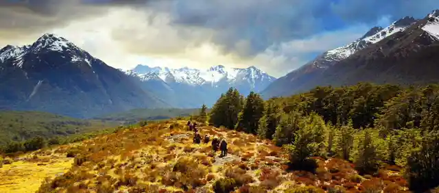 Lord Of The Rings: New Zealand