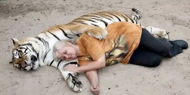 #17. Janice Hailey, The Tiger Whisperer