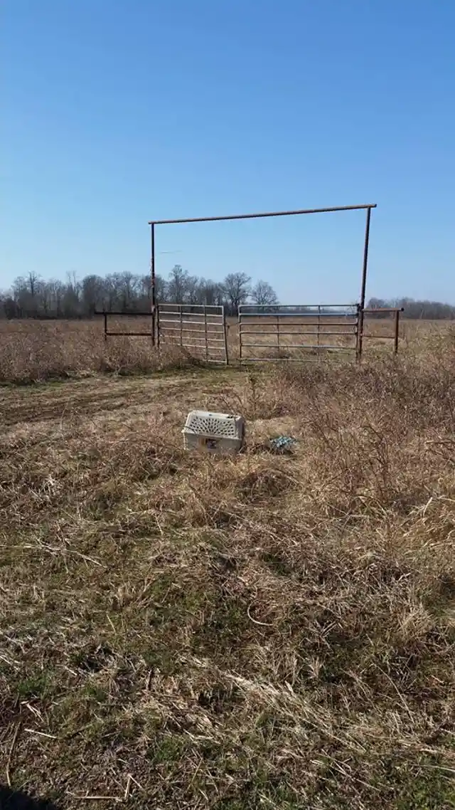 Father And Son Find Unusual Crate With Bite Marks In The Middle Of A Field