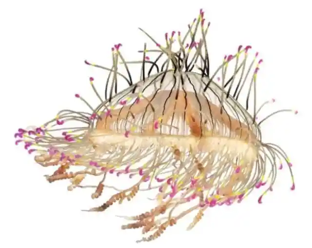 #16. The Colors Beneath The Sea