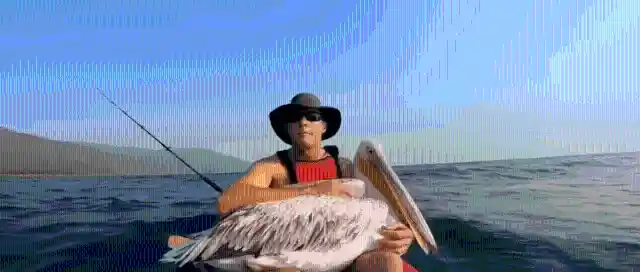 #12. Watching The Waves With His Pelican Friend