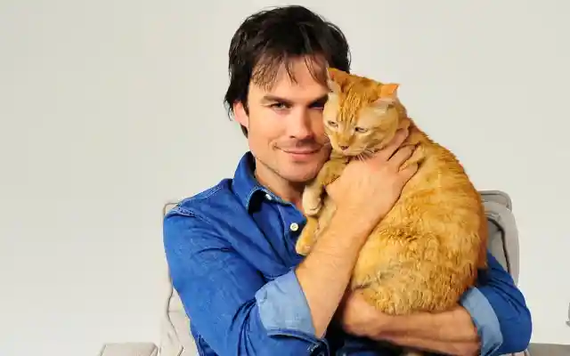 #13. Moke